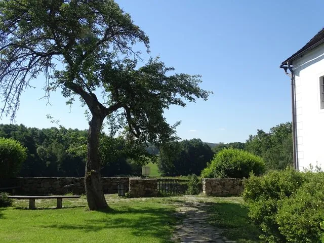 Ogród